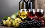 Definitii ale musturilor, vinurilor si ale altor produse derivate din must si vin